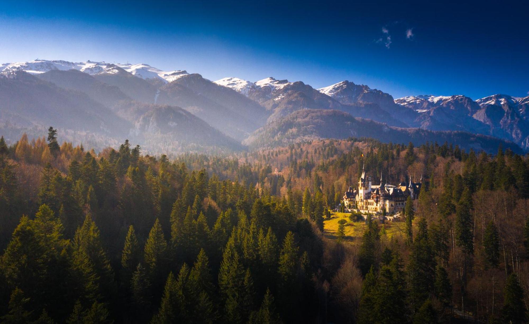 The Cozy Deer Apartment Sinaia Exterior foto